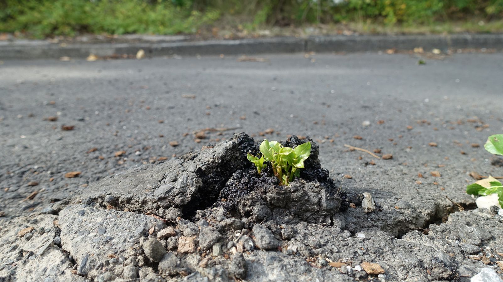 Sondervermögen: Plugging Budget Gaps or Boosting Infrastructure?